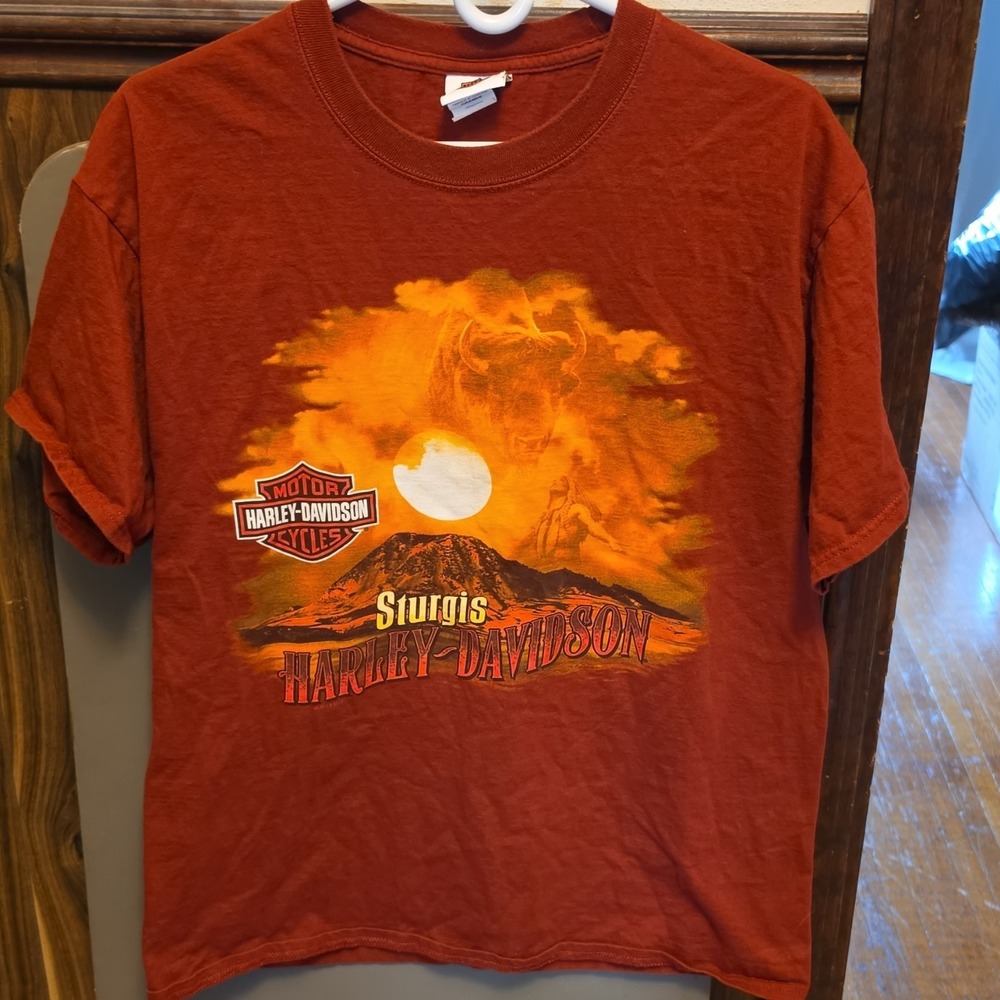 Harley-Davidson Sturgis South Dakota T-Shirt Orange‎ 100% Cotton Size L